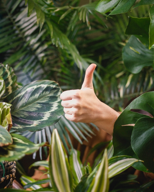 Foto: Katya Austin | Unsplash