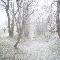 Foto © Fabian Weiss