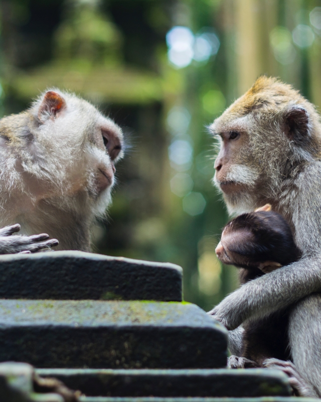 Content Marketing Vertrauen